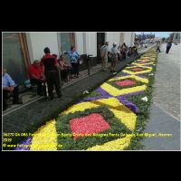 36270 06 086 Festas do Senhor Santo Cristo dos Milagres Ponta Delgada, Sao Miguel, Azoren 2019.jpg